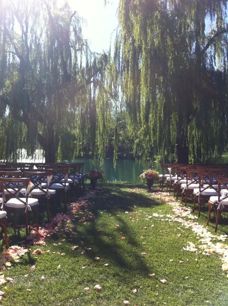 A lakeside wedding aisle scattered with petals beneath weeping willow trees